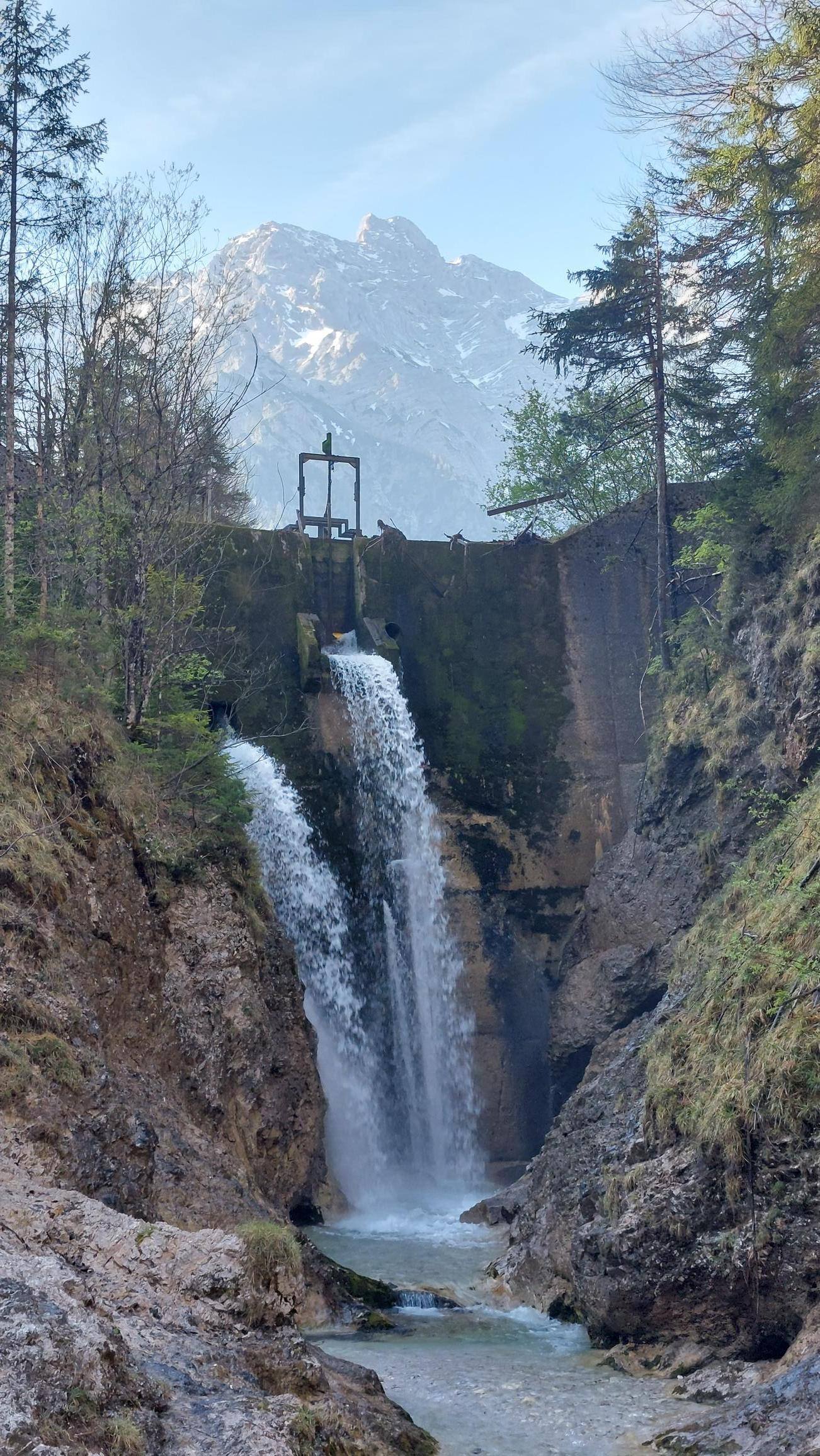 Bild der EG